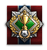 Полевой игрок II степени
