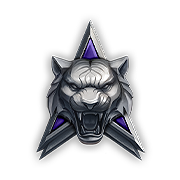 Участник события «Грозовой тигр»